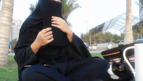 娱乐吃瓜君2,揭秘娱乐圈背后的秘密与八卦